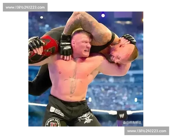 莱斯纳vs巅峰对决掀起力量与技巧碰撞的终极风暴擂台传奇再续荣耀之夜