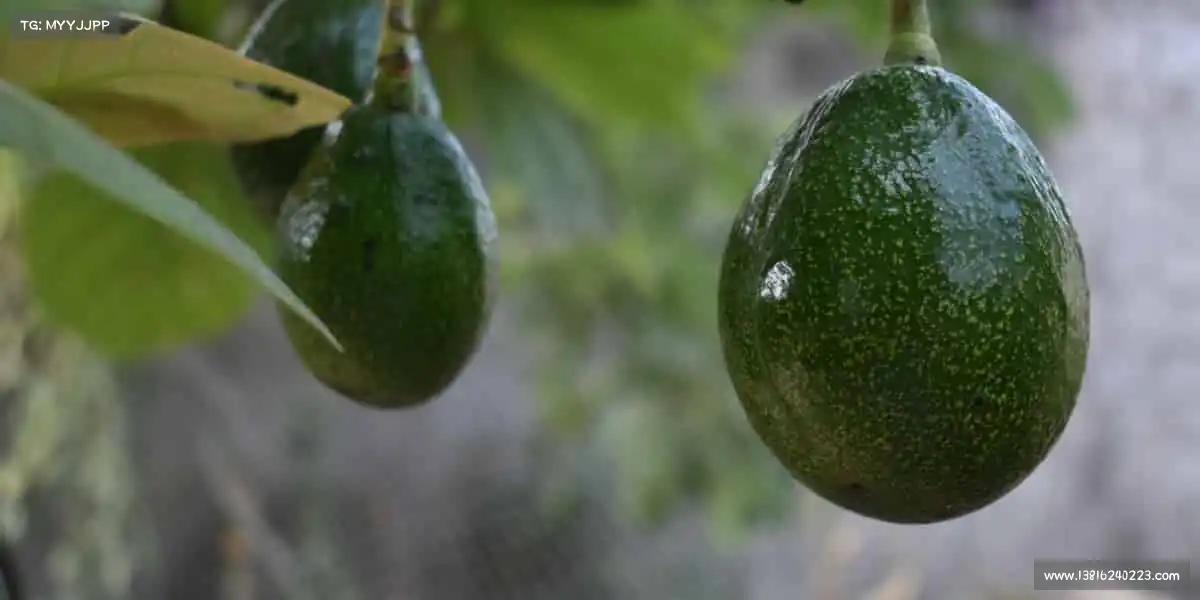 为什么选择我们